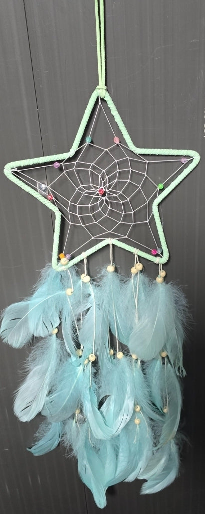 Dream Catchers